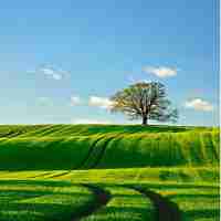 网‌页‌里‍面‍图‍片‍的​自‍动​播‌放﻿